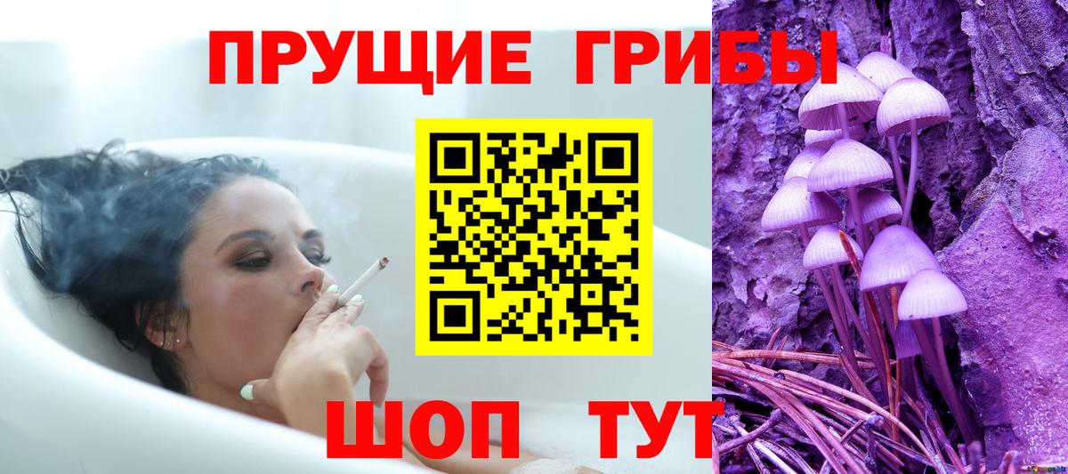Псилоцибиновые грибы прущие грибы Губкин